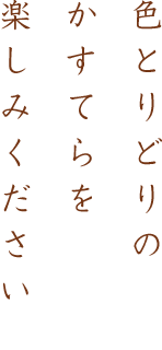 色とりどりのかすてらを楽しみください